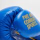 DNA gloves blue,כפפות אגרוף עור/Amara/PU WAKO approved
