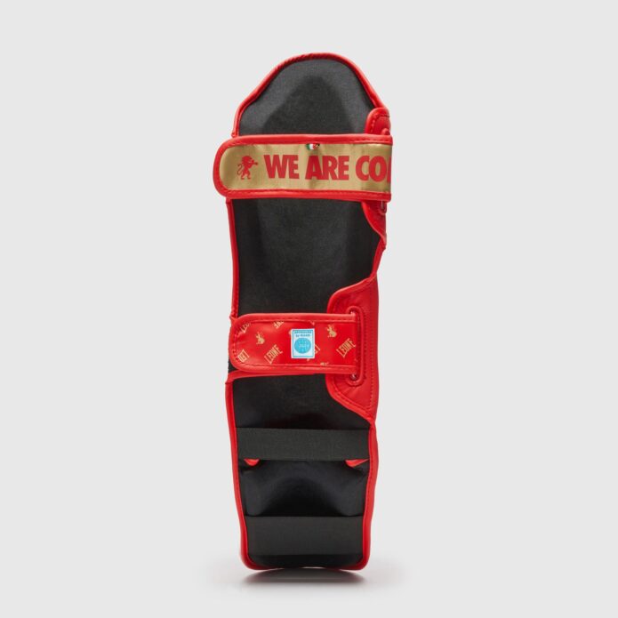 DNA shin guards red,מגני שוק וכף רגל WAKO approved